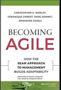 BECOMING AGILE HOW THE SEAM APPROACH TO MANAGEMENT BUILDS ADAPTABILITY
