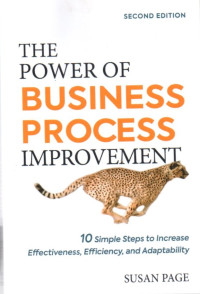 The power of bussiness process improvment