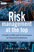 Risk Management at the Top : A Guide to Risk and its Governance in Financial Institutions