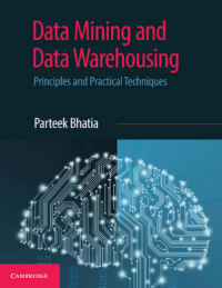 Data Mining and Data Warehousing : Principles and Practical Techniques