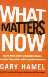 WHAT MATTERS NOW ; how to win in a world of relentless change ferocious competition and unstoppable innovation