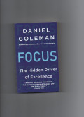 Focus : the hidden driver of excellence