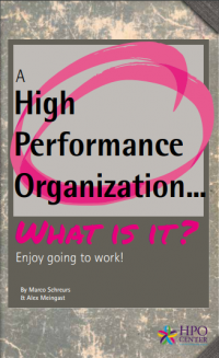 Image of A High Performance Organization... What Is It?